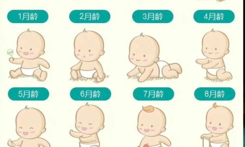 天津格林国际幼儿园学费-【武汉健民西黄丸价格查询】方得人心的意思 - 武汉健民西黄丸价格网