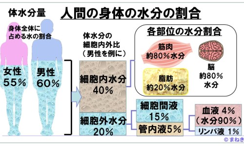 武汉健民西黄丸价格查询-【武汉健民西黄丸价格查询】方得人心的意思 - 武汉健民西黄丸价格网